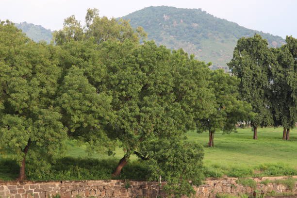 🏰 Vellore Fort - 16th Century Military Architecture