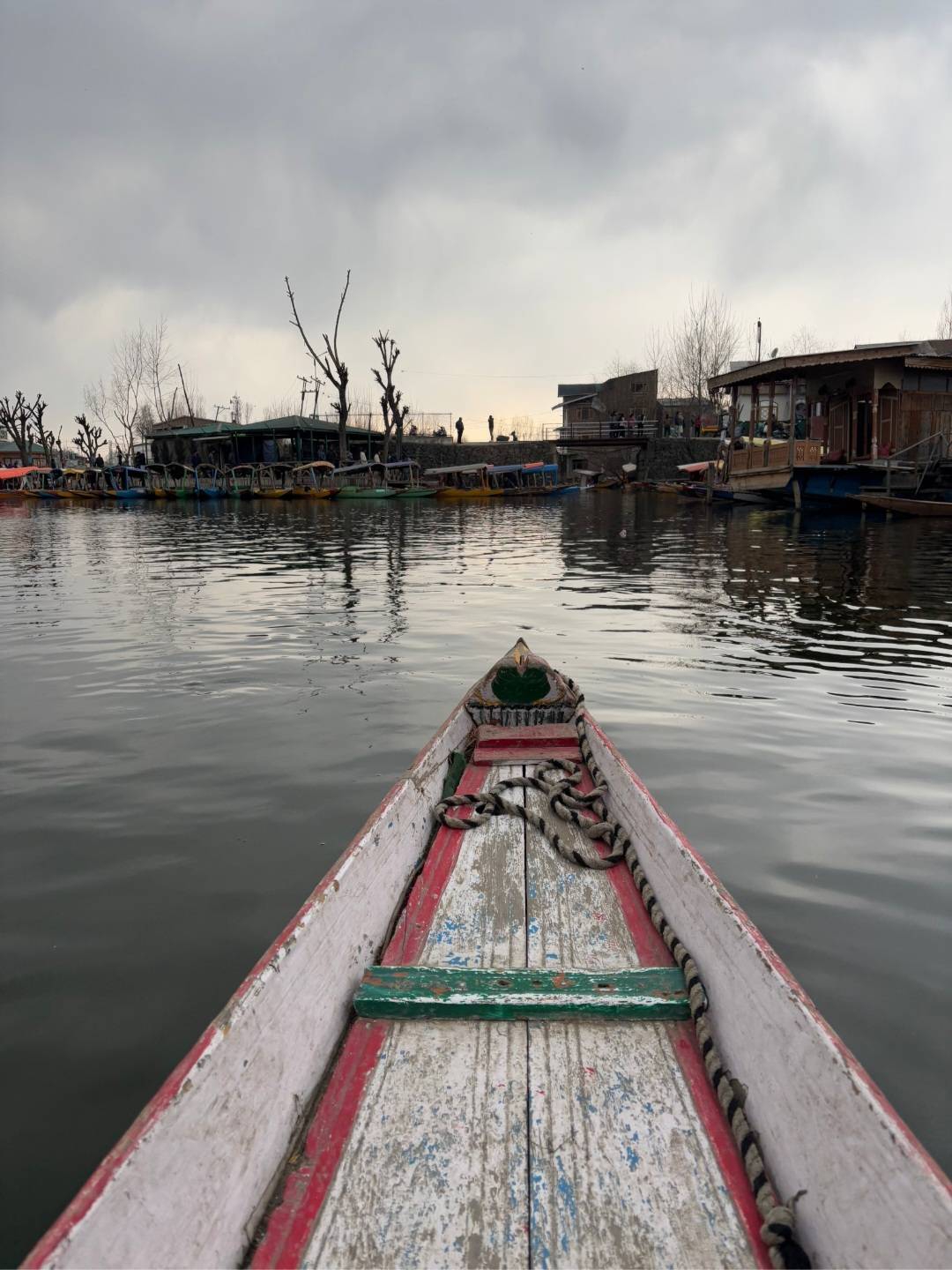 Shikara Ride Dal Lake