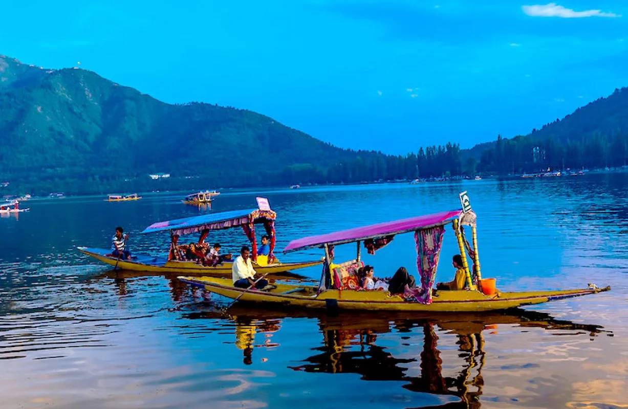 Shikara Ride Dal Lake