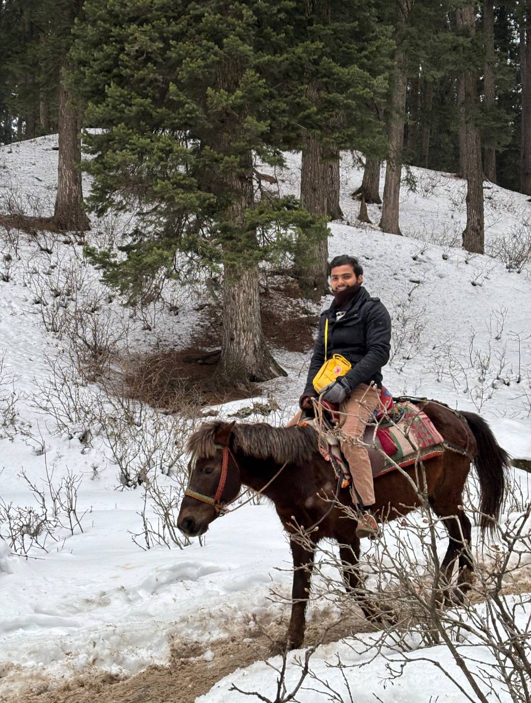 Horse Riding in Pahalgam 