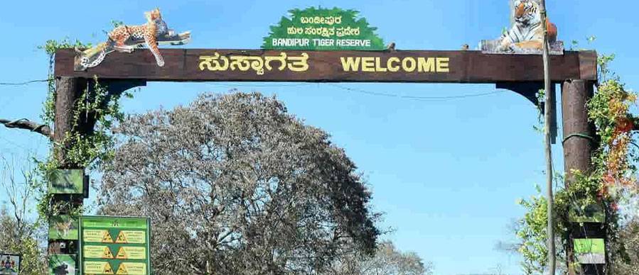 Bandipur National park 