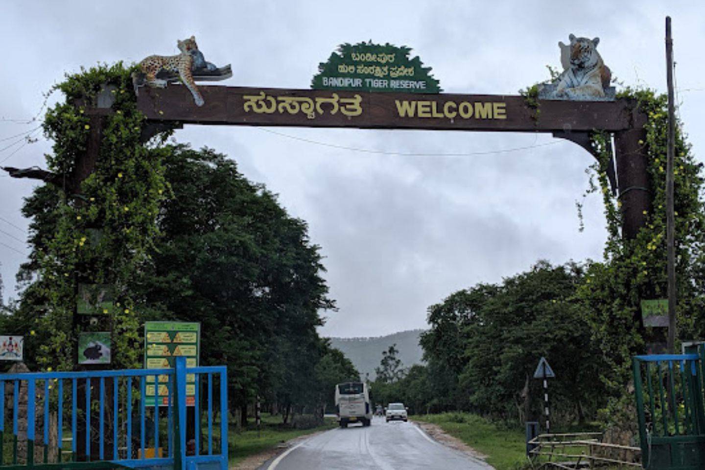 Bandipur National park 