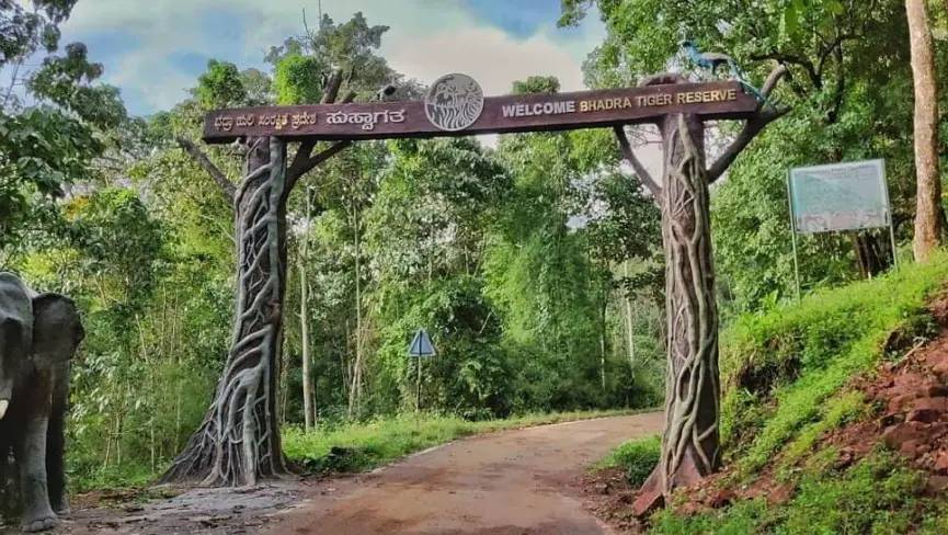 Bhadra wildlife sanctuary 